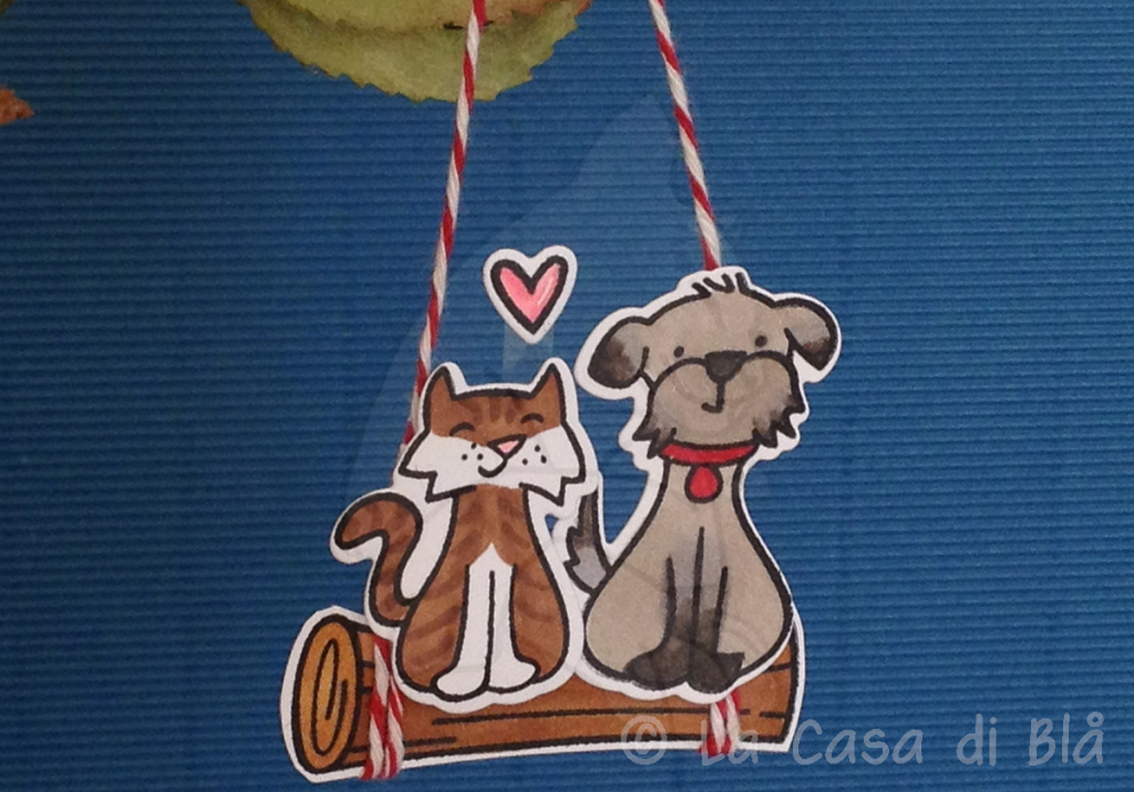 catanddog3