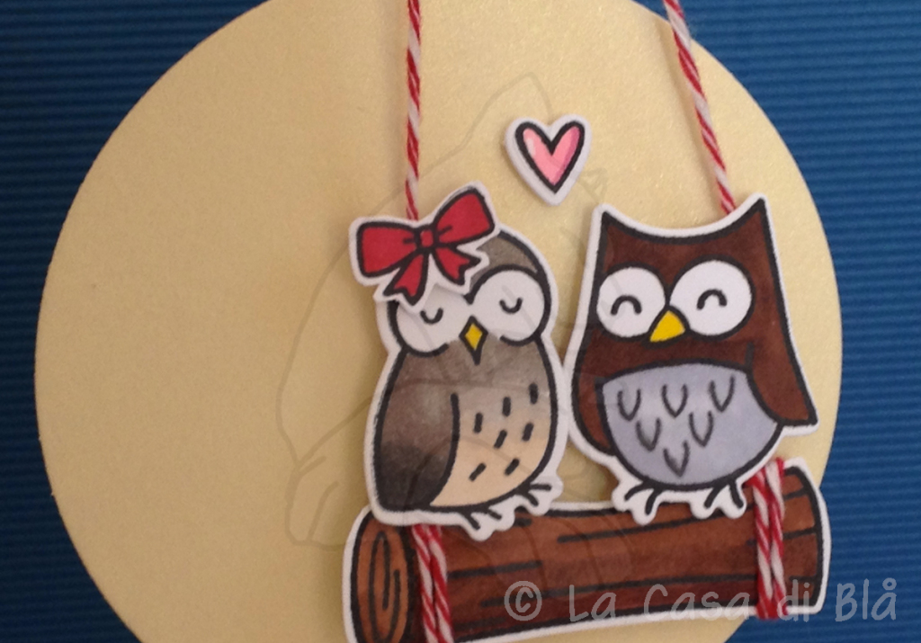 owls5