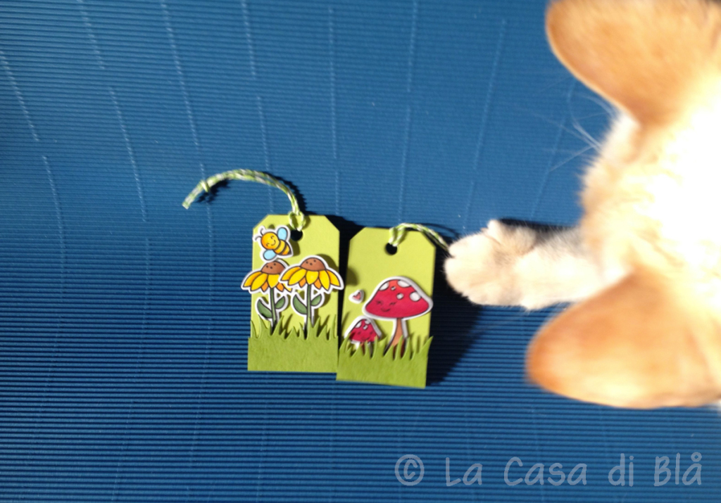 blaa_tags