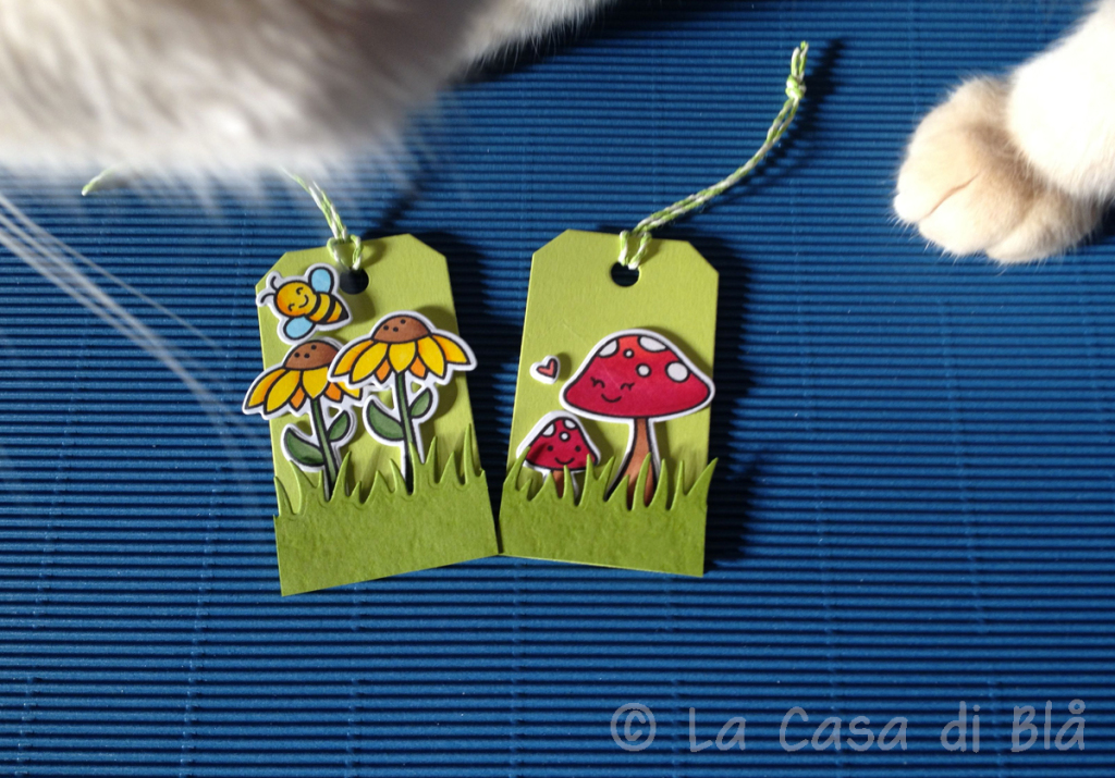 blaa_tags2