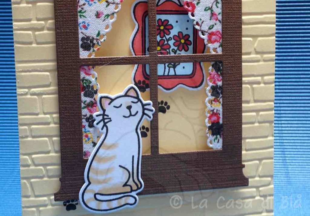 cat_footsteps7