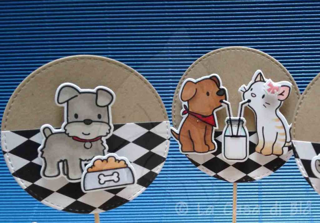 dog6