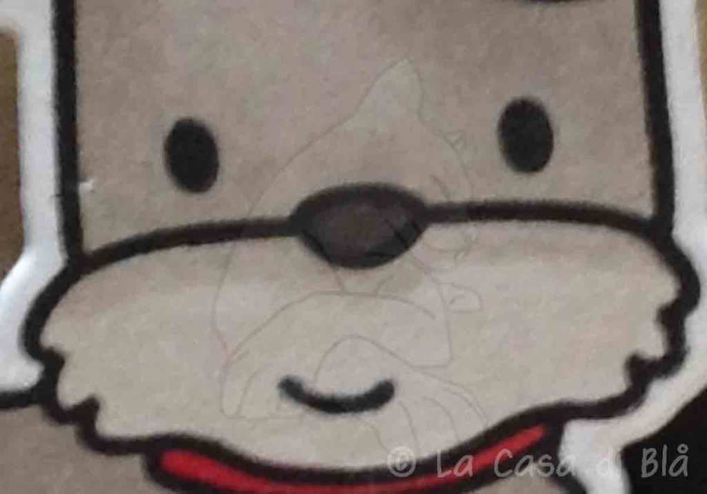 dog8