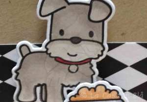 dog9