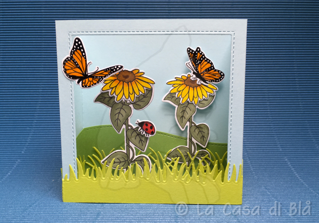 butterflies5