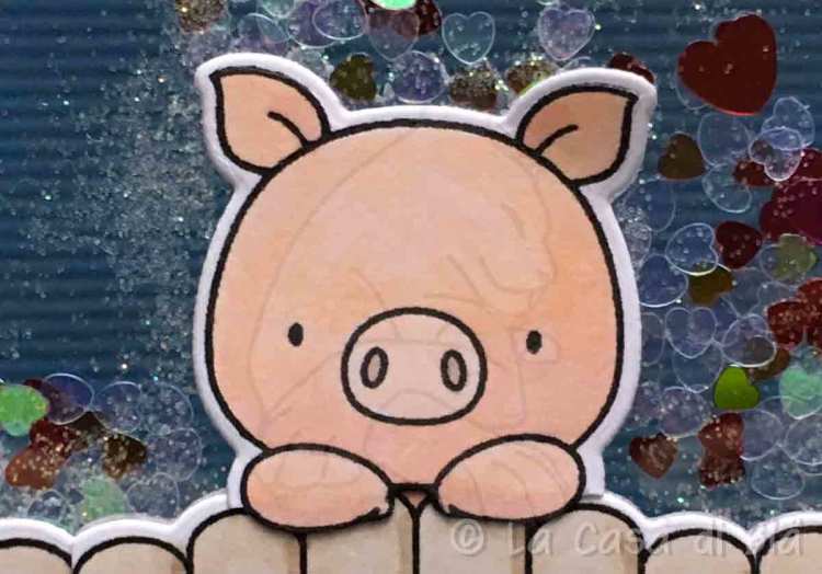 piggy3