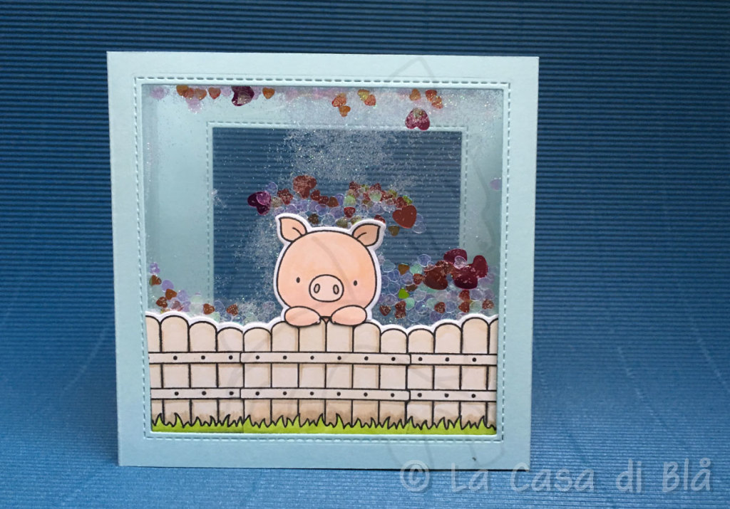piggy5
