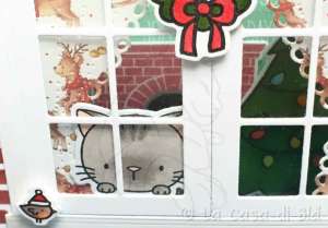 catwindow2