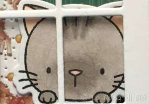catwindow3