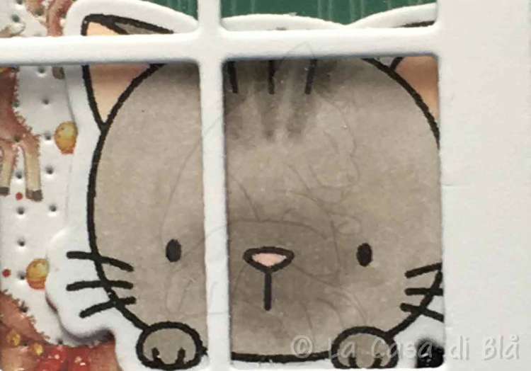 catwindow3