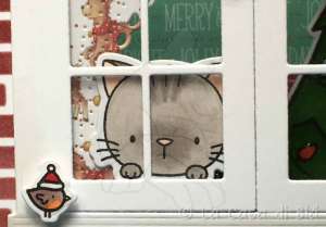catwindow5