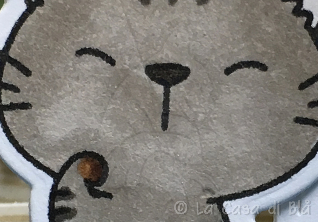 paws3