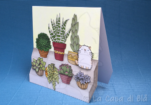 succulent_cat2