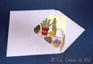 succulents_cat