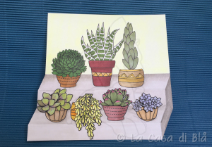 succulents_cat10