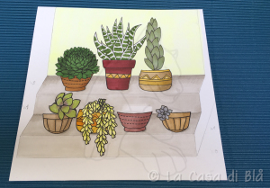 succulents_cat11