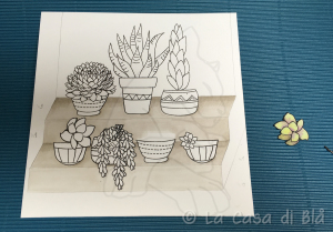 succulents_cat12