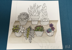succulents_cat13