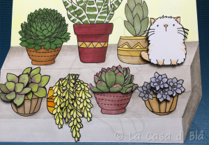 succulents_cat4
