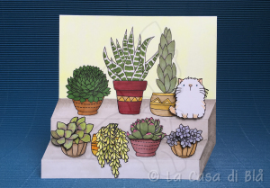 succulents_cat5