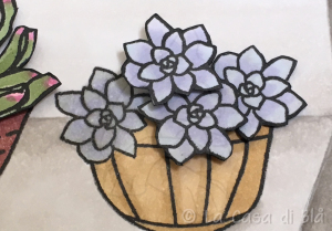 succulents_cat7
