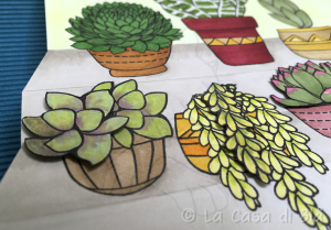 succulents_cat8