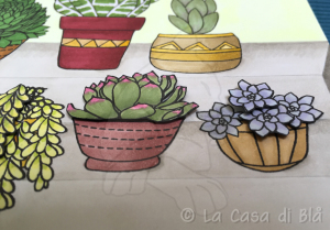 succulents_cat9