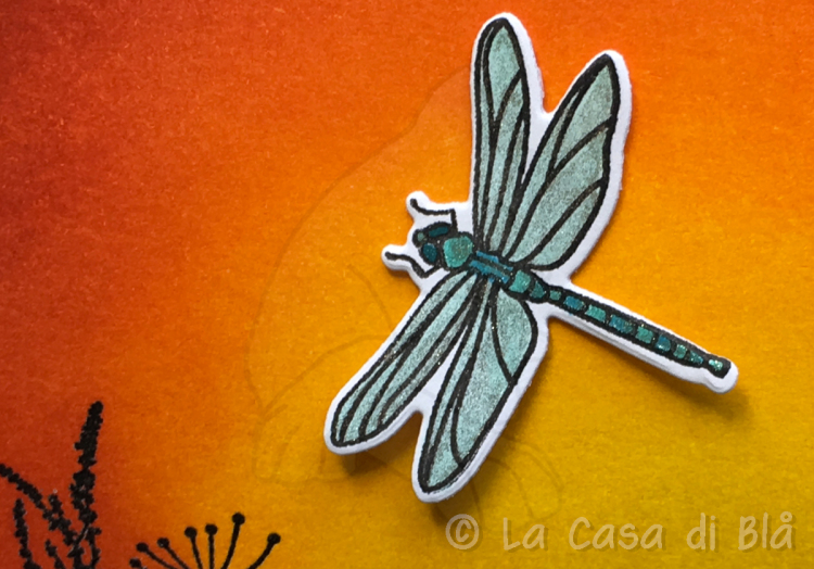 dragonfly2