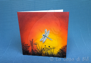 dragonfly5