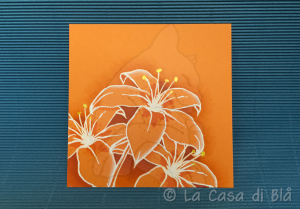 lily8