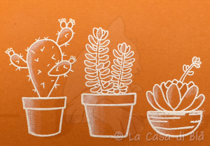 succulents11