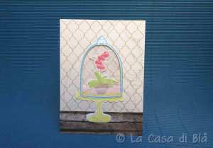 cloche6