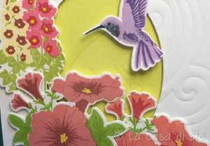hummingbird15